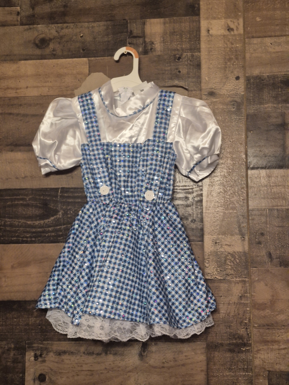 Classic Blue Gingham Dorothy Kids Costume. New Comes With Blue Hair Tie. Sz 4/6